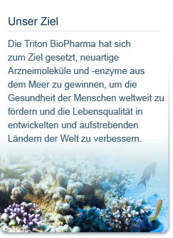 Unser Ziel